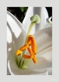 plus 40 C ... &hellip;
