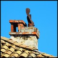 tragovi (fumar&hellip;