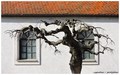 usputna prolje&hellip;
