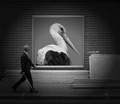 foto egzibicij&hellip;