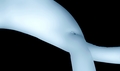 ledene forme (&hellip;