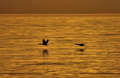 sunset meditat&hellip;