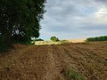 Žito je pokoše&hellip;