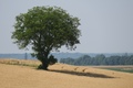 Eto stiglo lje&hellip;