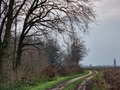 Čekamo prvi sn&hellip;