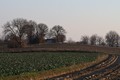 Čekamo zelenil&hellip;