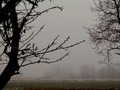 ..dani u magle&hellip;