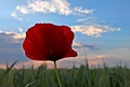 ..mak u zalaza&hellip;