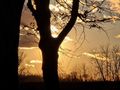Zubato sunce o&hellip;