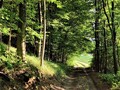 Iščekivanje pr&hellip;