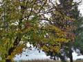 pogled na jese&hellip;