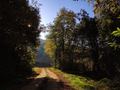jutarnje sunce&hellip;