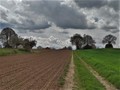 Proljetna još &hellip;
