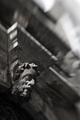 Photourist2009&hellip;