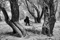 Lost in the wo&hellip;