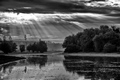 Koviljska juta&hellip;