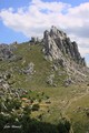 Velebitska crt&hellip;