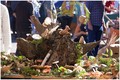 Sve su jestive&hellip;