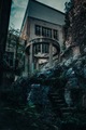 Last of Us...