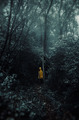 Foggy and mood&hellip;