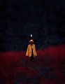 Otherworldly g&hellip;
