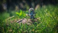 Sylvanas Windr&hellip;