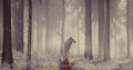 Ghost...