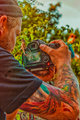 Skate fotograf&hellip;