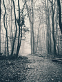 Spomen park Do&hellip;
