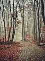 Spomen park Do&hellip;