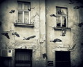 Dalmatinska