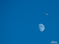 Fly me to the &hellip;