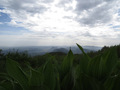 Zeleno---plavo&hellip;
