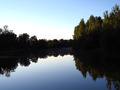 Dravske reflek&hellip;