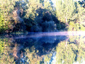 Dravske reflek&hellip;
