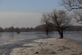 Jednostavna zi&hellip;