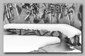 skate park