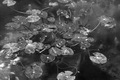Jezero u Larso&hellip;