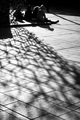 Na majskom sun&hellip;
