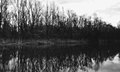 Reflection,Dra&hellip;