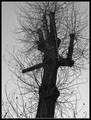 ENT - hommage &hellip;