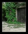 greenfoot /gro&hellip;