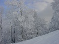Snježni oklop