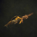 Experiment No.&hellip;