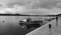 Sive zime dalm&hellip;