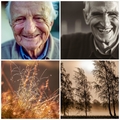 Ovo nisu fotog&hellip;