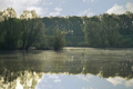 čarobna močvar&hellip;