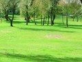 Zelenilo Bunde&hellip;
