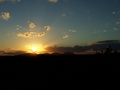 Sunce domestic&hellip;