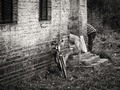 Kakav gazda, t&hellip;